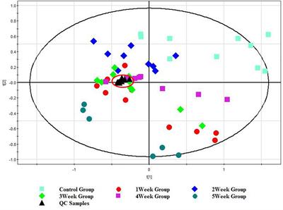 UHPLC-MS-Based Metabolomics Analysis Reveals the Process of Schistosomiasis in Mice